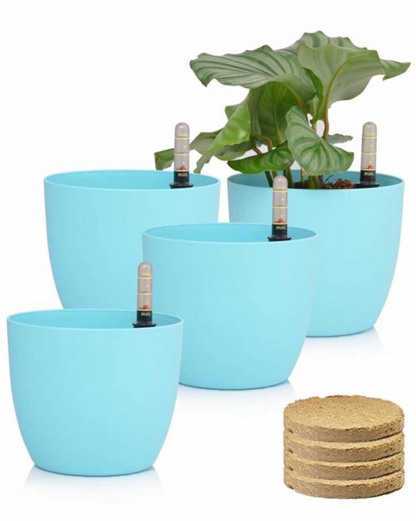 61521291 1097577160450492 7311068123535245312 n